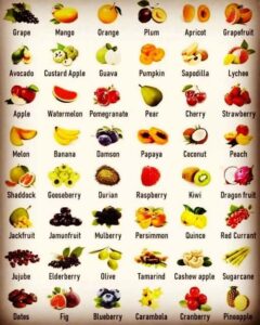 fruit tunnel microwave dryer