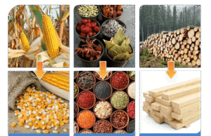 Mesh belt drying machine usages