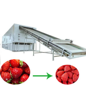 strawberry dryer