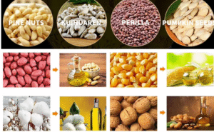 cooking oil raw materials